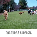 View Dog Turf & Surfaces